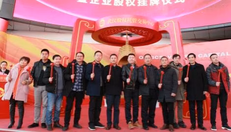 Clay Mud Common Brick Making Machine Packaging Machine