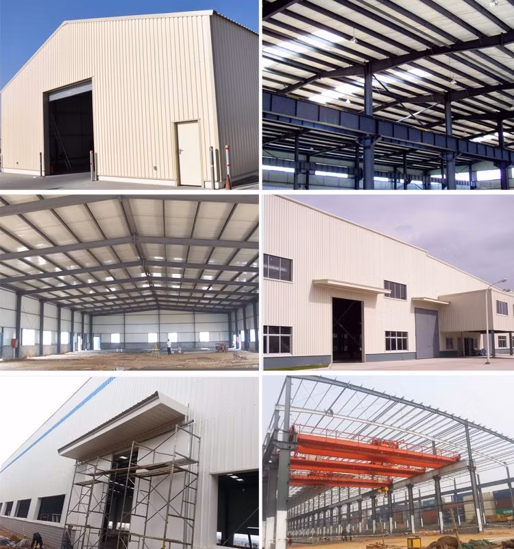 Steel Space Frame Structure Warehouse Steel Structural Shed with Large Span