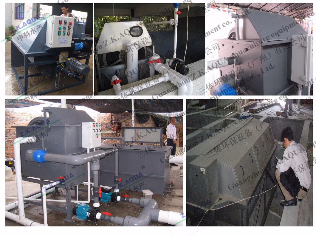 Sturdy Corrosion Resistant Rotary Drum Filter with Ras