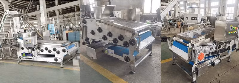 Industrial Fruit Belt Filter Press Machine Belt Type Squeezing Juice Extraction Machine