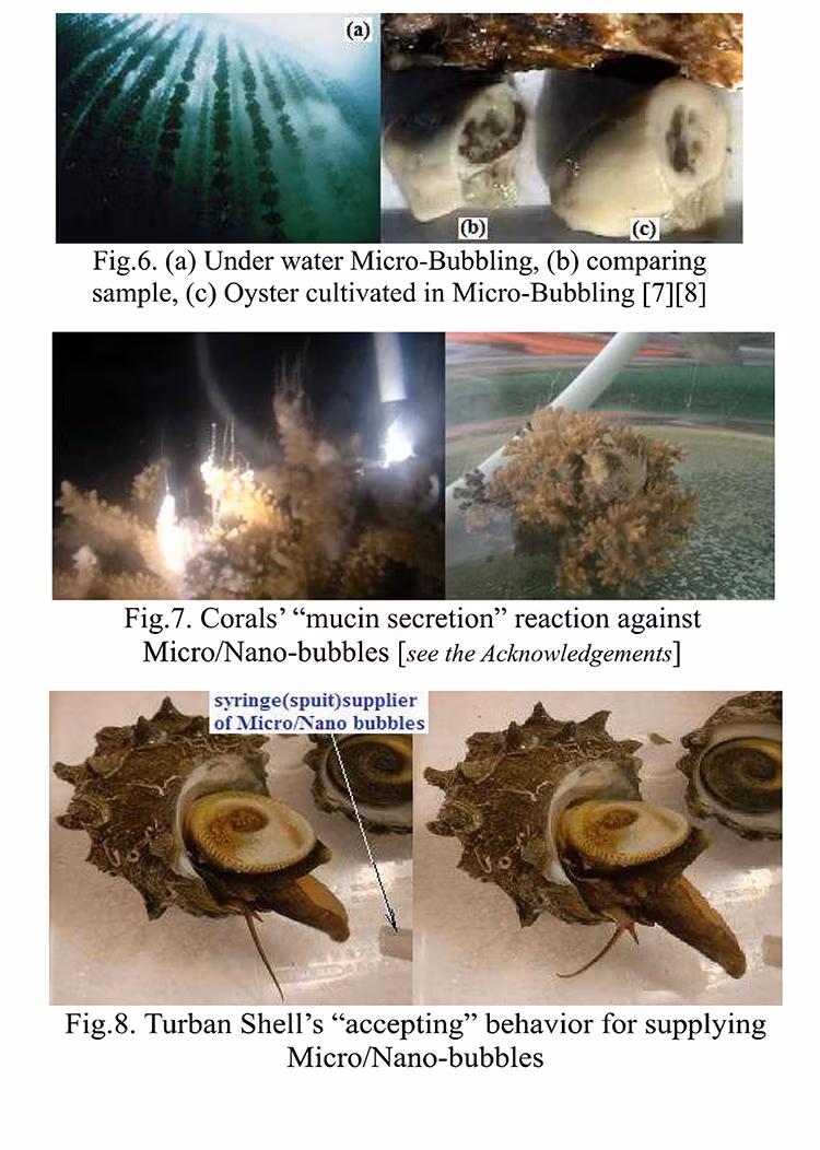 The Separation Tank with Dissolved Air Pump Is Used for Air Floating Aeration System
