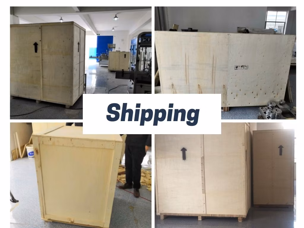Bjjx Pack Full Automatic Explosion Proof Piston Dosing 1 Gallon Bottle Liquid/Gel/Detergent Filling Machine 8 Heads Filler Line