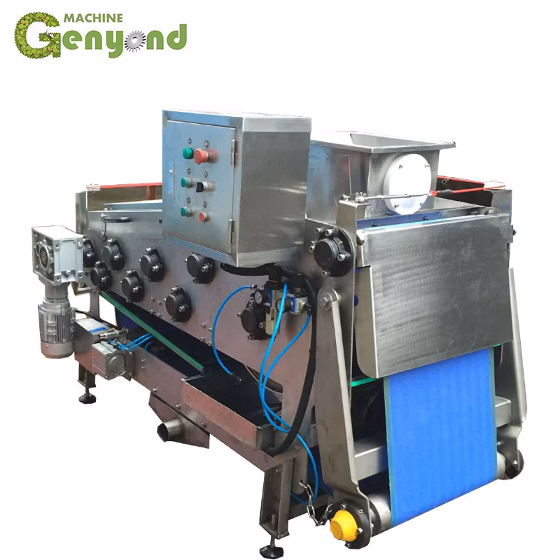 Small Belt Type Juice Extractor Press for Seabuckthorn Raisins