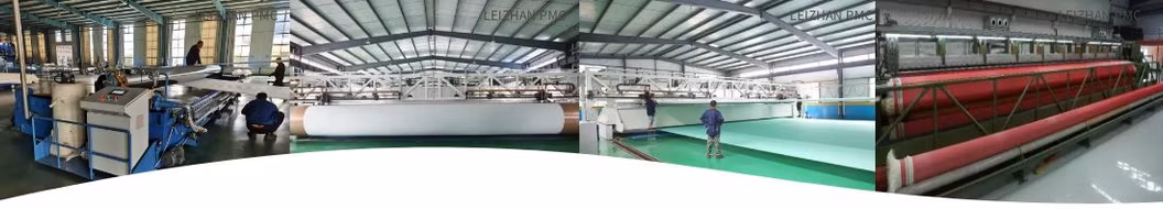 Industry Waste Water Treatment Sludge Dewatering Press Filter Belt