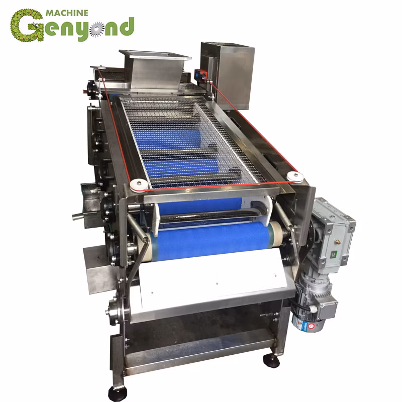 Small Belt Type Juice Extractor Press for Seabuckthorn Raisins