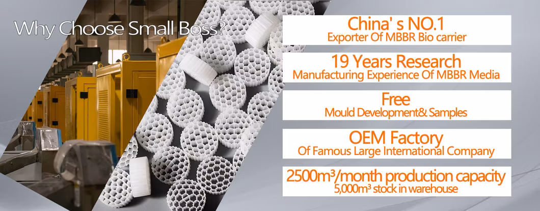 Biocell China Brand Food Grade Moving Bed Biofilm Reactor K3 Mbbr Bio Filter Media for Sewage Treatment ODM