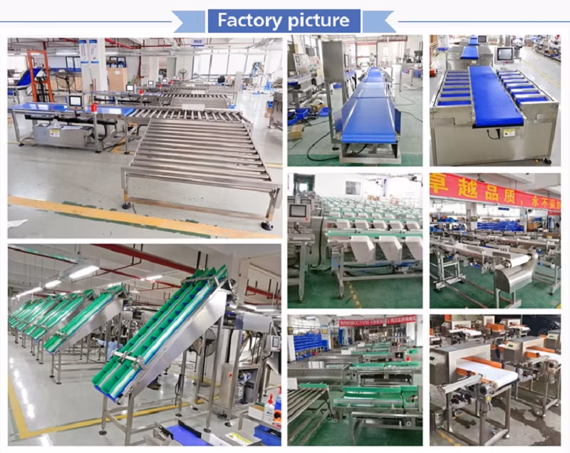 Automatic Pear Fruit Vegetable Onion Sorting Crawfishtilapia Sorting Aquaculture Grading Mango Weight Grading Machine