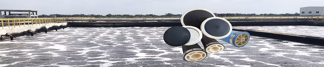 Factory Price 8 Inch 9 Inch 12 Inch EPDM Silicone Membrane Bubble Diffuser Fine Bubble Diffuser Air Diffuser