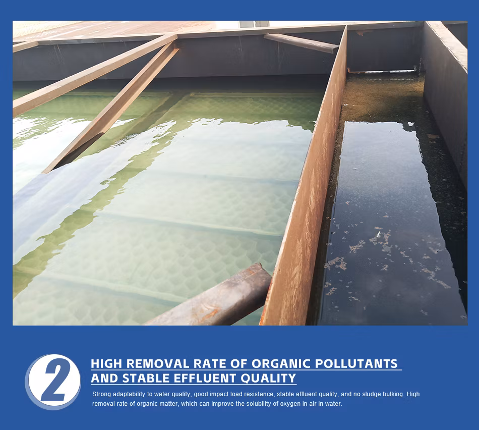 Industrial Equipment Containerized Mbr Mbbr Domestic Sewage Treatment Equipment