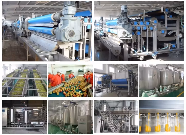 500kg/H Apple Juicer Fruit Juice Belt Press Juicing Machine/Belt Type Juice Extraction Equipment Extractor