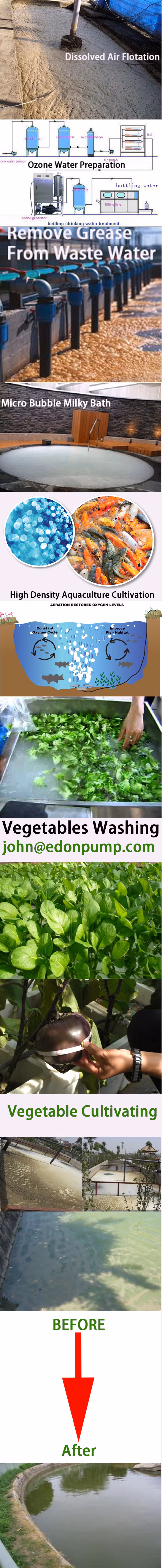 Edon Gas-Mixing Fine Bubble Generating Pumps Dissolved Air Flotation Daf Aquaculture Cultivation Ozone Water Mixing 25edqs07D