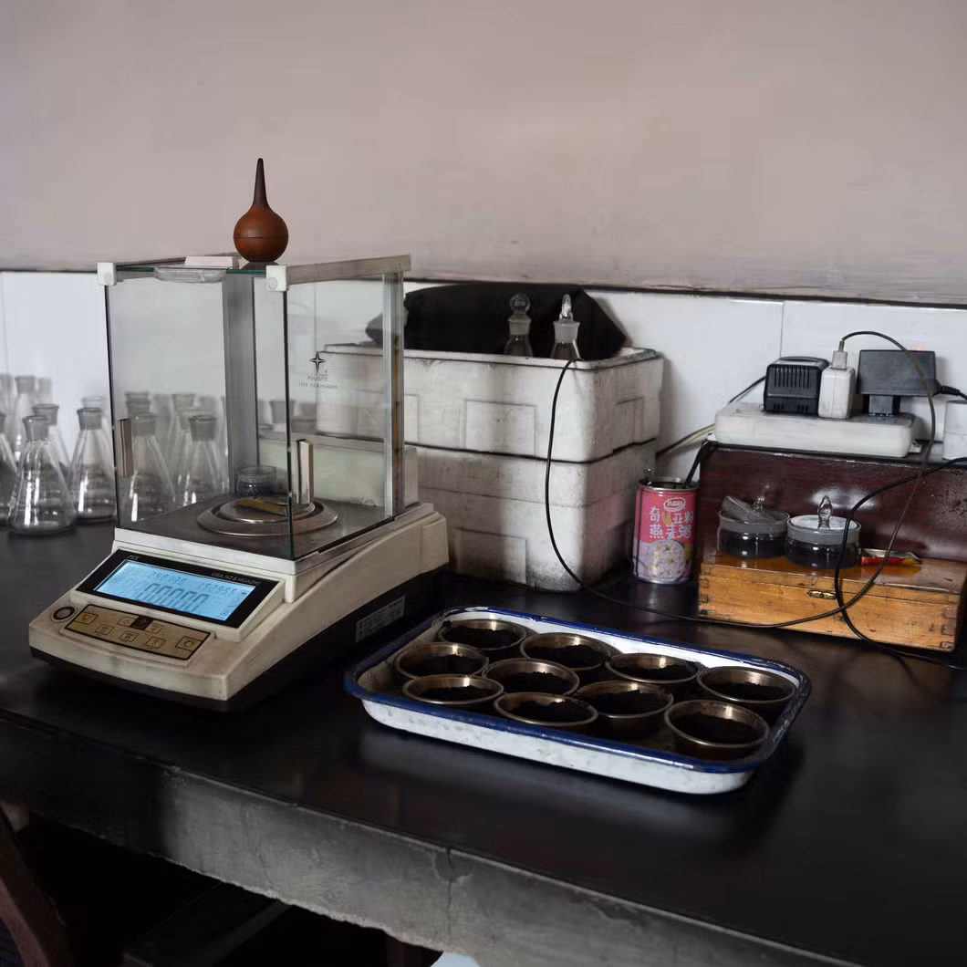 Water Filter Material Coconut Granular Activated Carbon for Laboratory