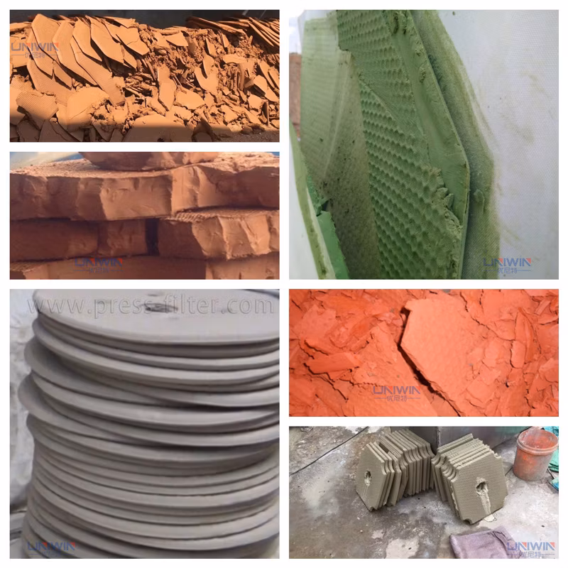 Wastewater Treatment Hydraulic Cast Iron Plate and Frame Filter Press for Sale