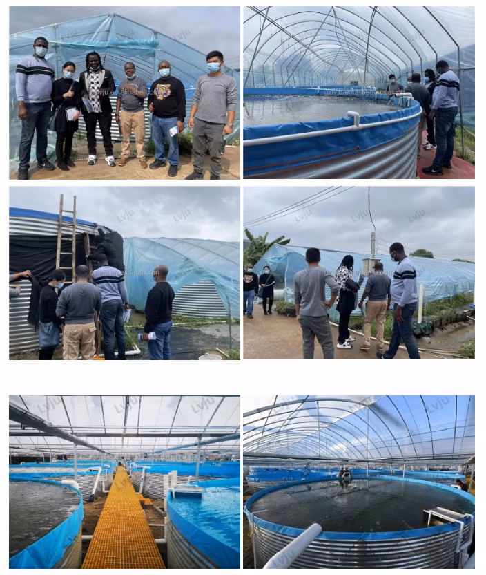 Lvju One Stop Service Pond Aerator Aquaculture Products for Shrimp Fish Tank Aquaculture