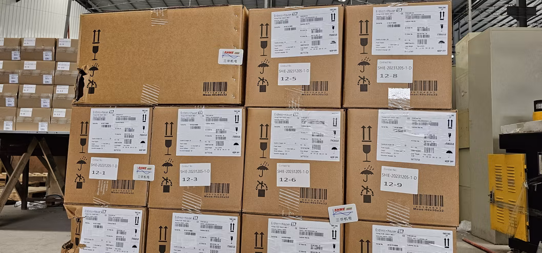 Endress+Hauser /E+H Proline Prosonic Flow E 100 Ultrasonic Flow Meter