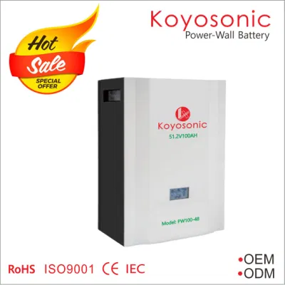 Batería de litio Koyosonic Rack de 48V 50Ah 100Ah 200Ah 51,2V LiFePO4 battery 2.5kwh 5kwh 10kwh 15kwh de Iones de Litio Batería Li-ion Home Storage Battery para Tesla