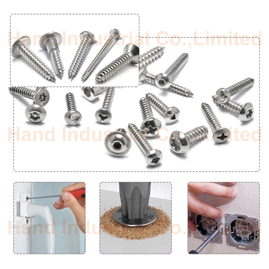 M5 8mm 10mm Phillips Pan Head Blunt Point Stainless Steel Self Tapping Screws for Plastic