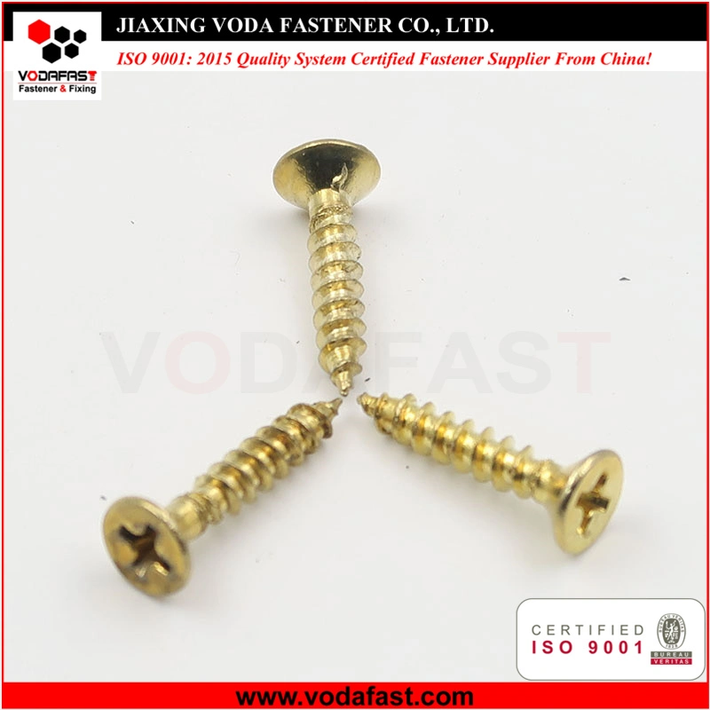 Vodafast Hex Head Self Tapping Screw White Painted