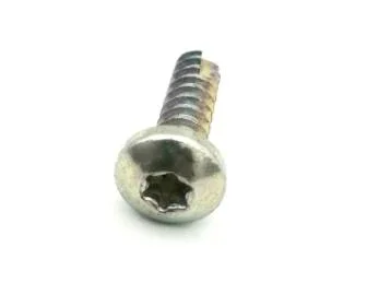 China Factory Self Tapping Drilling Torx Hexalobular Socket Pan Head Thread Cutting PT Screw