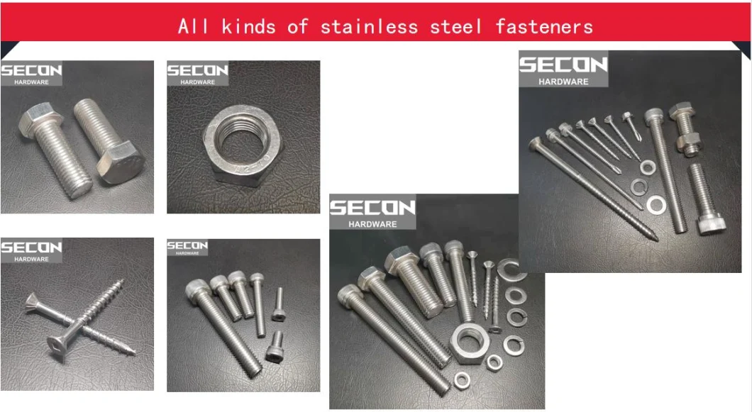 Made in China Stainless Steel Countersunk Square Drive Deck Screw/Wood Screw/Self Tapping Screw Grade A2-70 A4-70