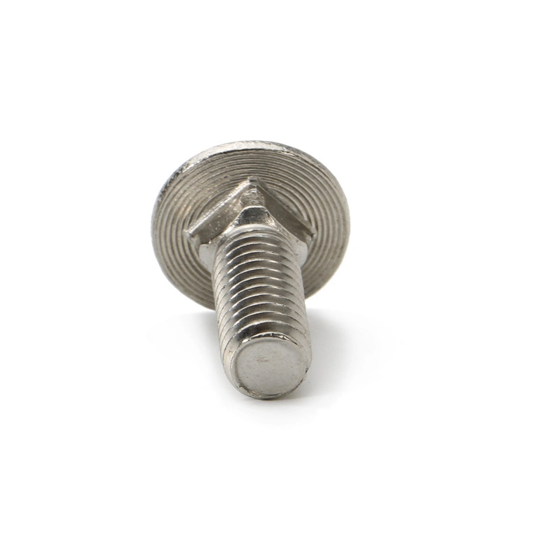 DIN 603 Stainless Steel Material Mushroom Head Square Neck Carriage SUS Bolt