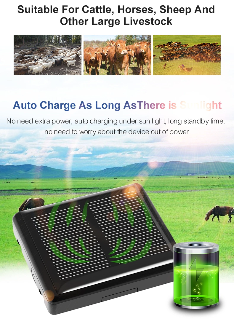 V26 Waterproof Solar Powered Cow Sheep GPS Tracker for Animal