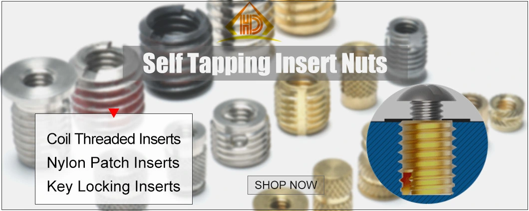 M4 M5 SS304 Insert Nut with Hole Self Tapping Insert Nut