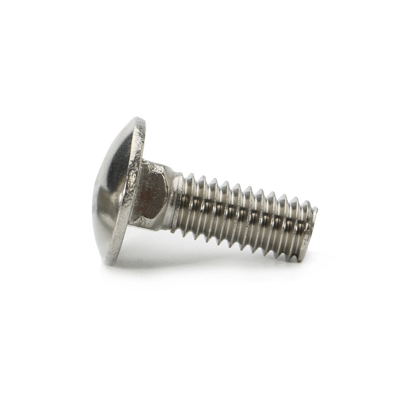 DIN 603 Stainless Steel Material Mushroom Head Square Neck Carriage SUS Bolt