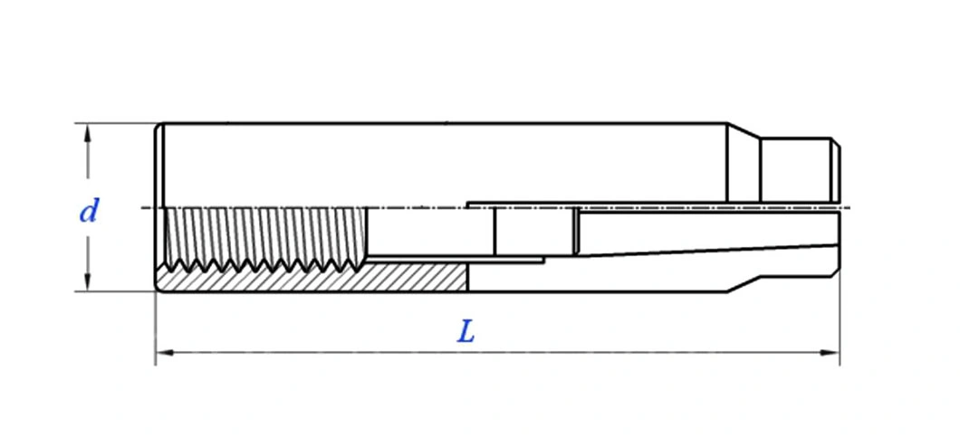 Anchor Wedge Anchor Chemical Anchor Self Drilling Bolt