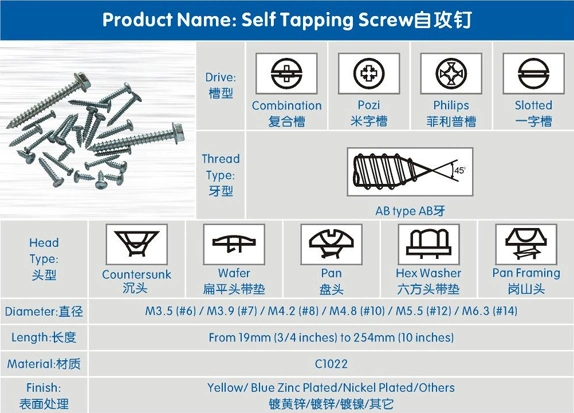 DIN7981DIN7982 DIN7983 Stainless Steel Screw Flat Head Pan Head Self Tapping Screw