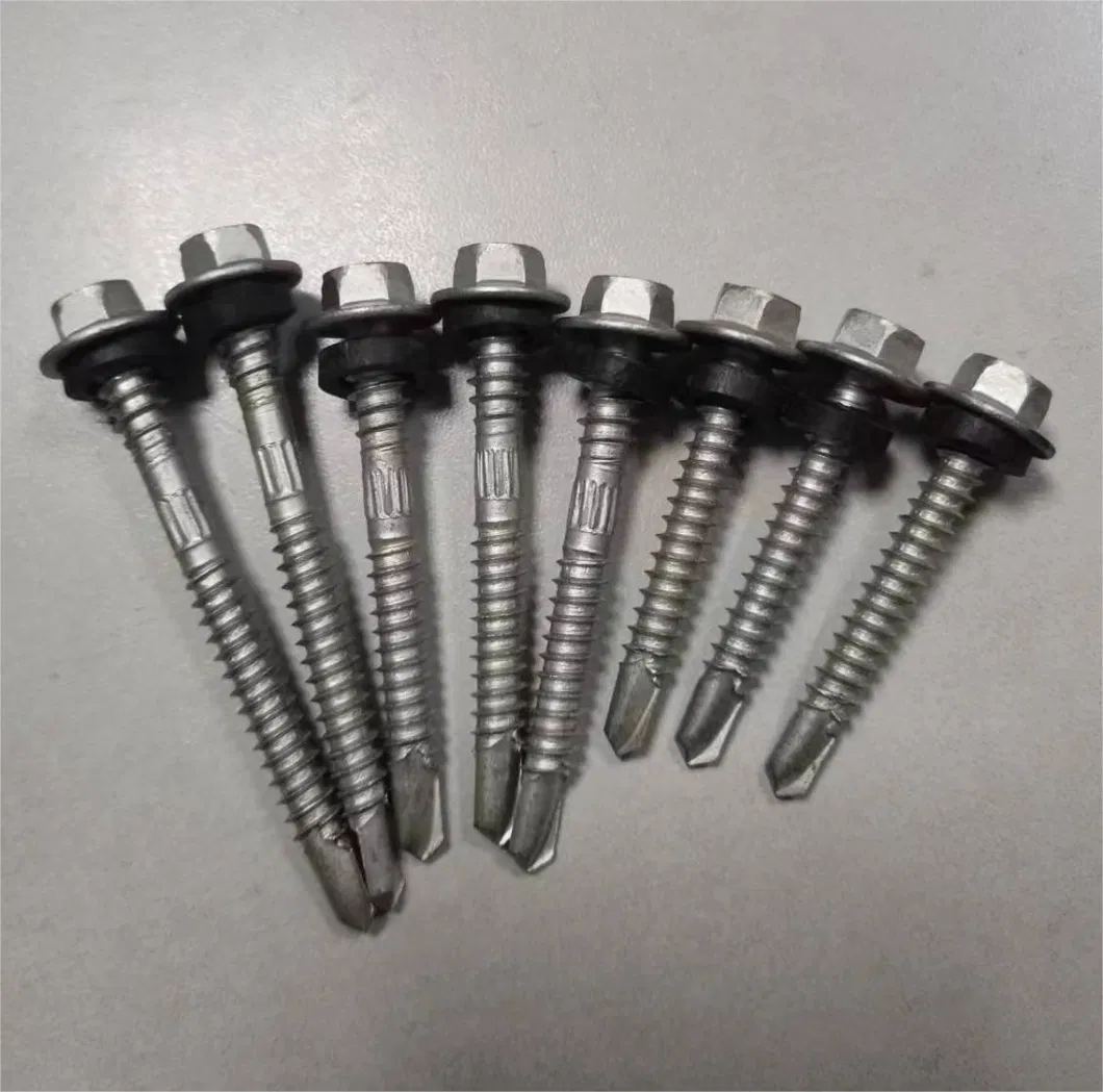 Big Ss201 Washer Dacromet Ruspert High Quality Self Drilling Screw Self Tapping Screw for Building Metal Frame Use