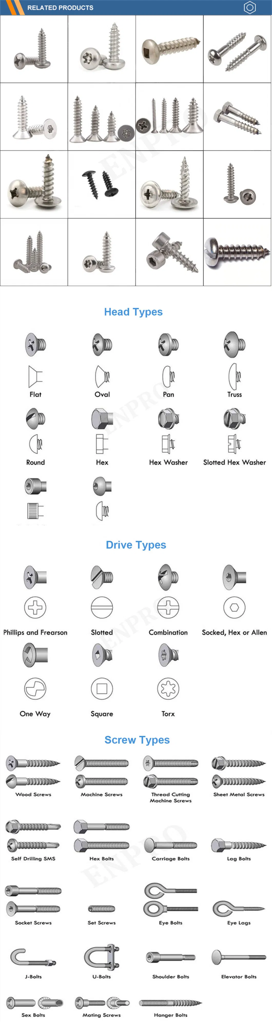 Wholesale SS304 SS316 Stainless Steel Self Tapping Ss Deck Screw