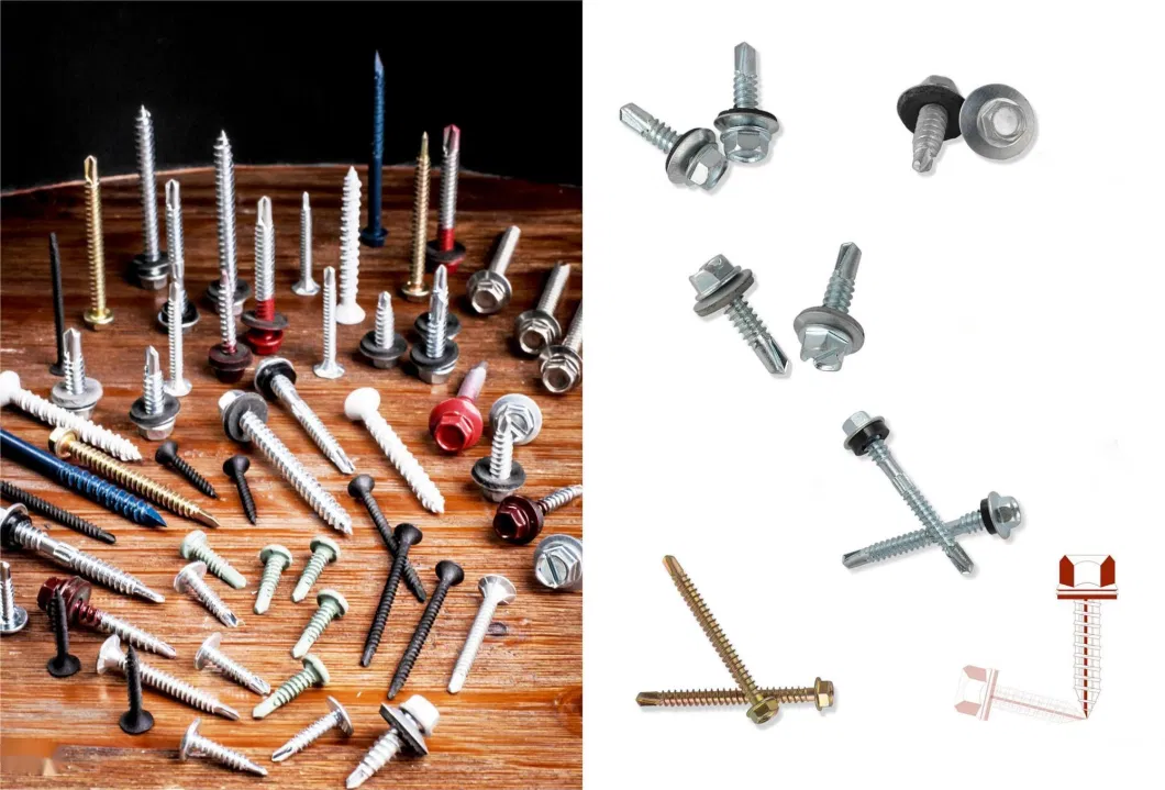 Carbon Steel/Stainless Steel Screw/Self Drilling Screw/Drywall Tapping Screw/Chipboard Screw/Wood Screw/Roofing Screw/Machine Screw/Decking Furniture Screw