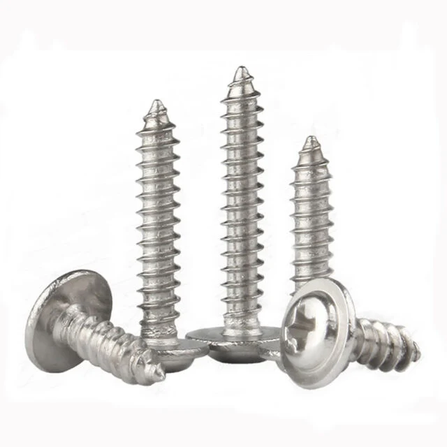 #8 X 3/4&quot; SS304 316 Stainless Steel Modified Truss Head Self Tapping Deck Wood Screw, Sharp Point Made in China