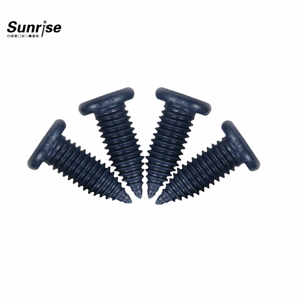 Customized DIN Fastener Stainless Steel Metal Round Head Self Tapping Screw