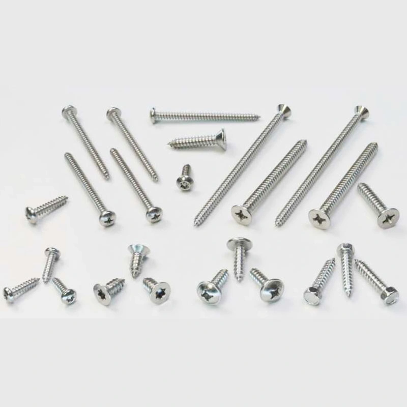 #8 X 3/4&quot; SS304 316 Stainless Steel Modified Truss Head Self Tapping Deck Wood Screw, Sharp Point Made in China