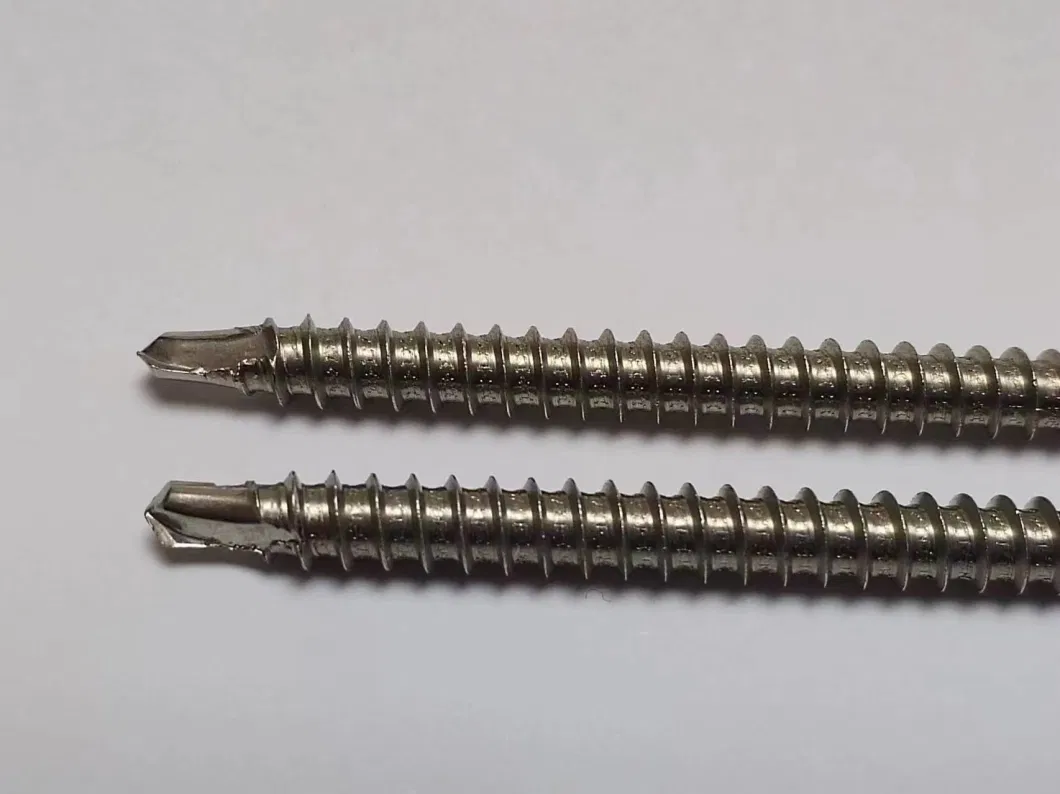 Extra Long 304 Stainless Steel Self Tapping Drilling Screws with Bond Washer