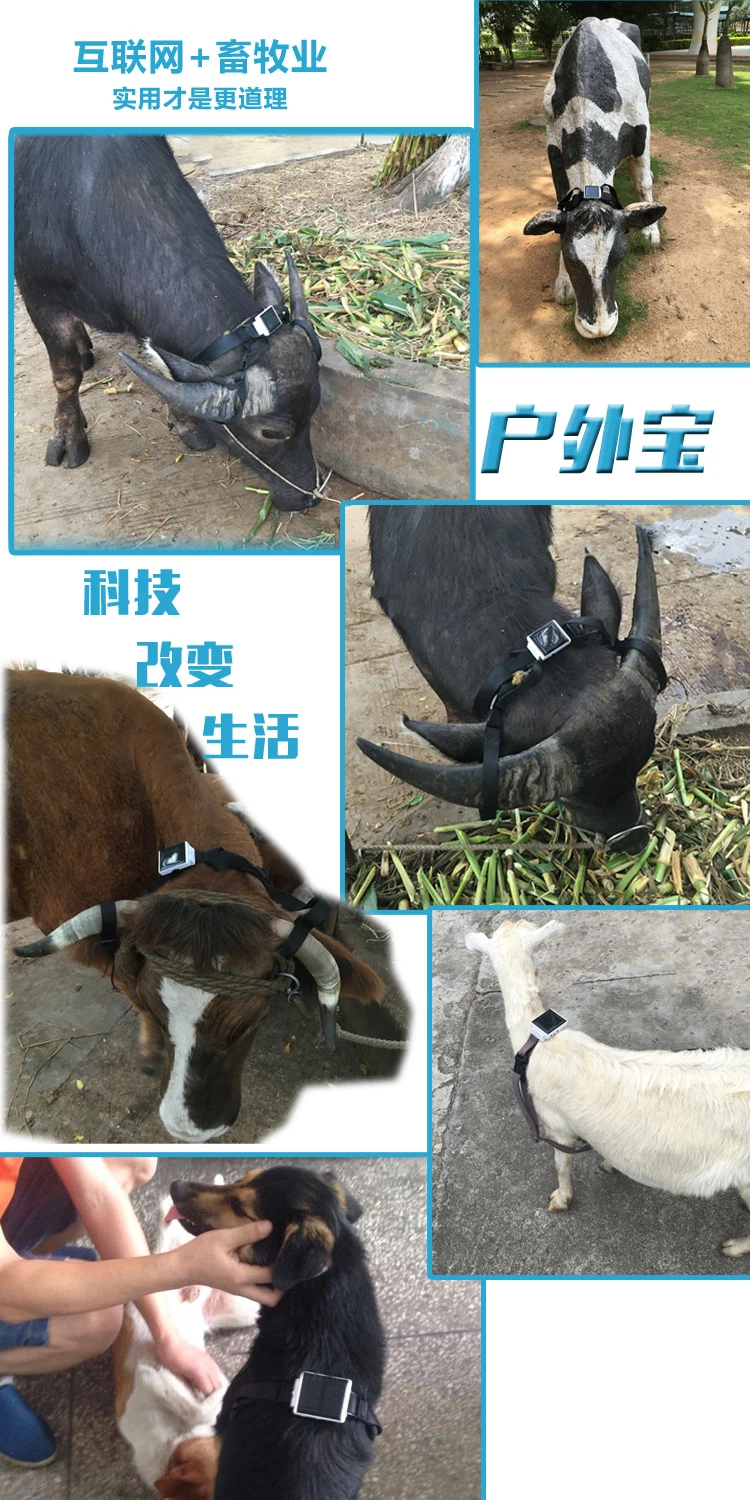 Solar Powered GPS Horse Cattle and Sheep Animal Locator Pet Dog Anti-Loss Device Intelligent Tracker