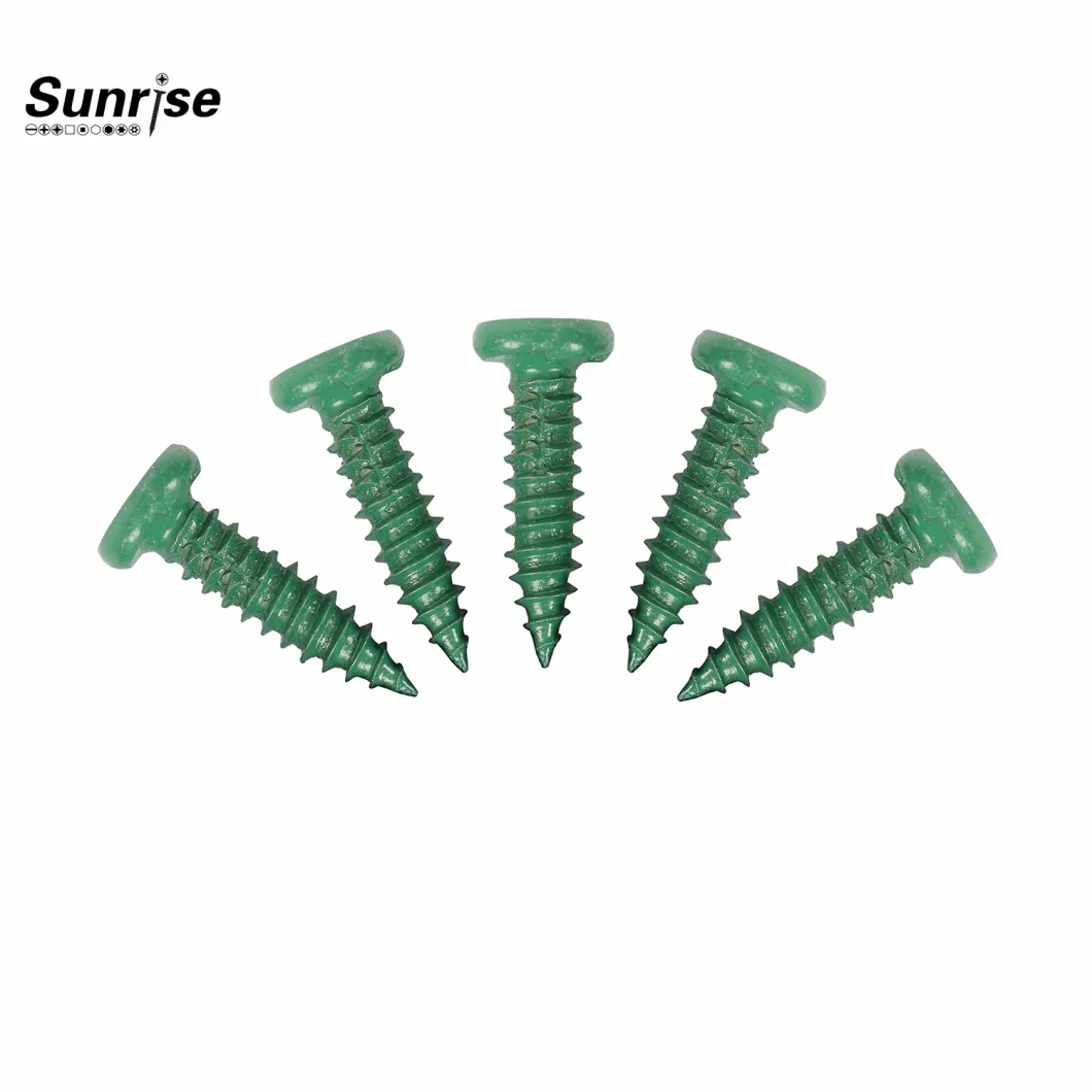 Customized DIN Fastener Stainless Steel Metal Round Head Self Tapping Screw