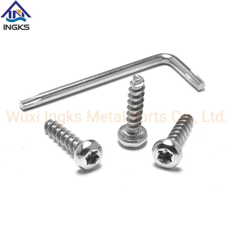 SS304 A2 Anti-Theft Tamper Proof Self Tapping Screw for Metal Torx Screw