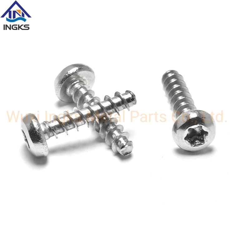 SS304 A2 Anti-Theft Tamper Proof Self Tapping Screw for Metal Torx Screw