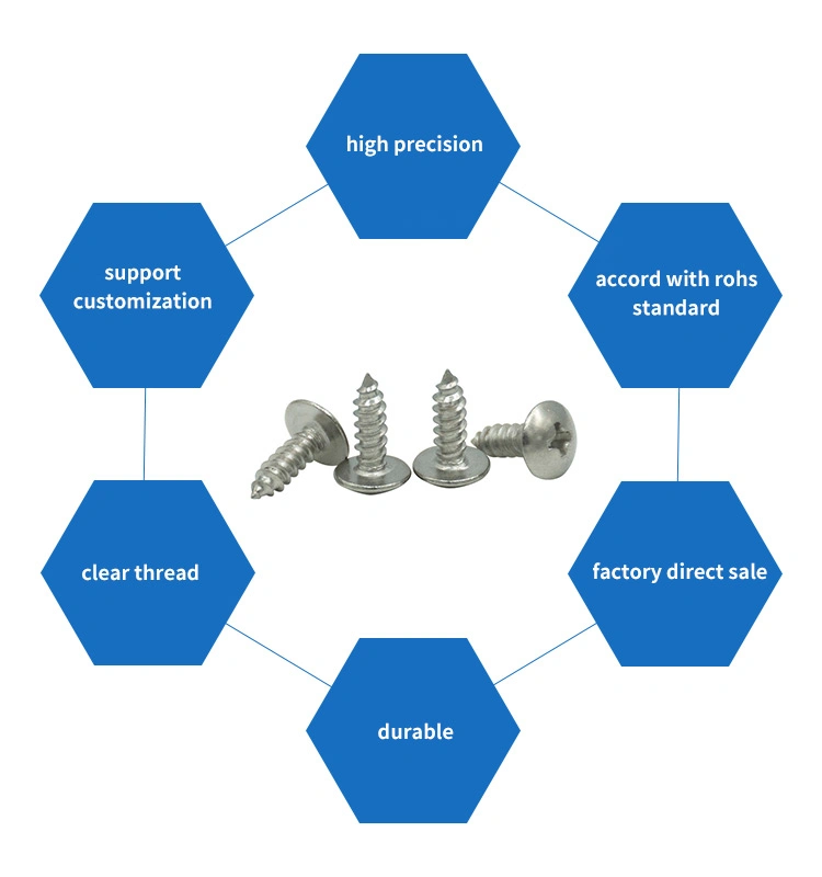 DIN 7504p SS304 SS316 Cross Recessed Small Flat Head Bugle Csk Self Tapping Roofing Screws for Metal