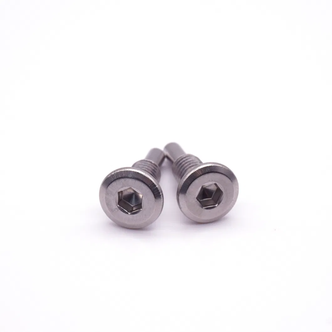 Customize Stud Bolt for Stainless Steel Hex Head Screw Bolt