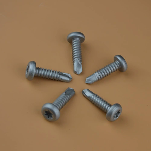 Torx Screw A2 Self Tapping Screw Bolts