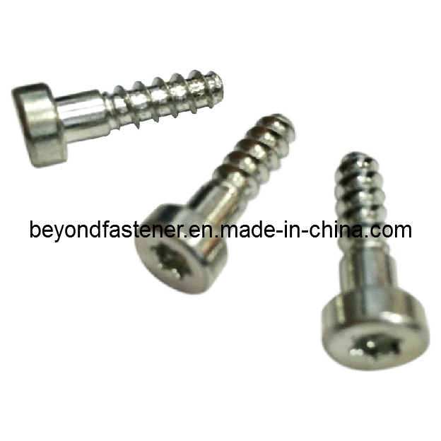 Self-Drilling Screws, Self-Tapping Screws, Special Screws, Machine Screw Support OEM