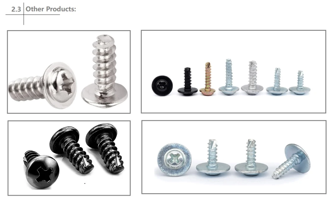 Hardware Nickel Palted Stainless Steel Round Head PT Thread Cross Cutting Tail Self Tapping Screw