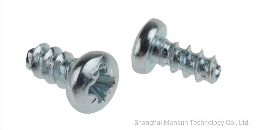 C1022 Pozi Drive 6mm Long Self Tapping Screw