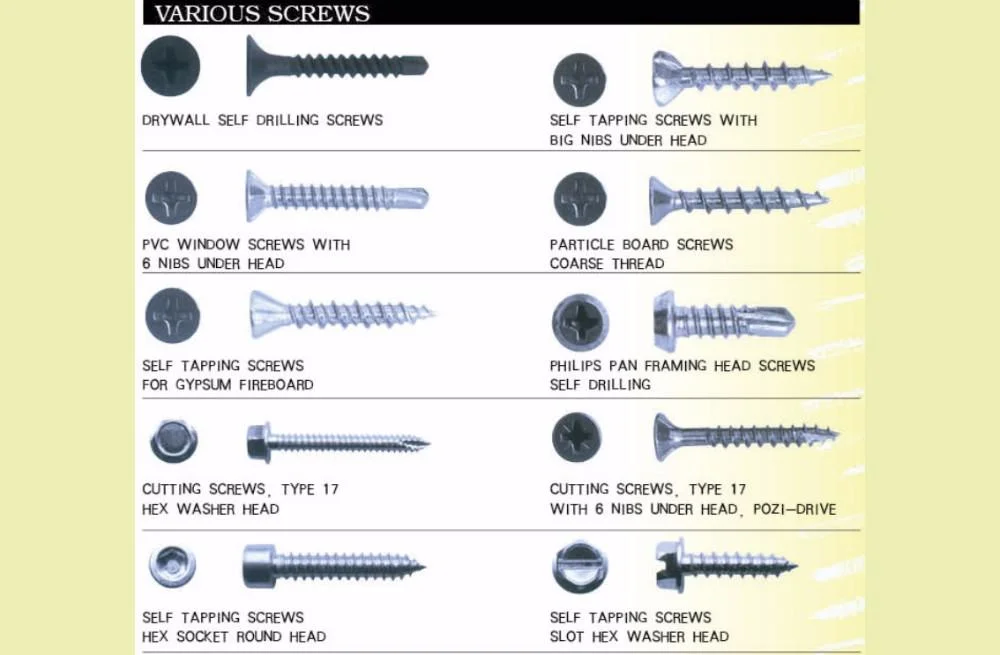 Wholesale Chinese Phillips Self Drilling and Drywall Screw Pan Head Pan Framing Head Black White Zinc Self Tapping Screw