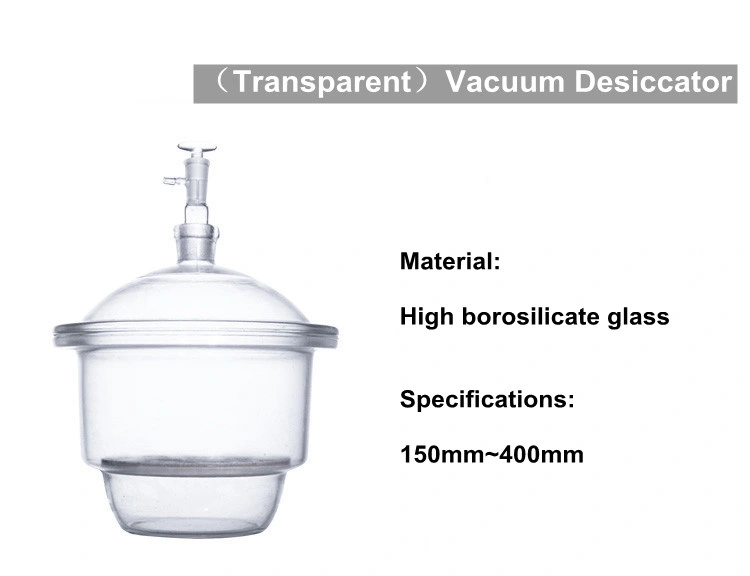 Glass Vacuum Desiccator with Ground in Stopcock and Porcelain Plate