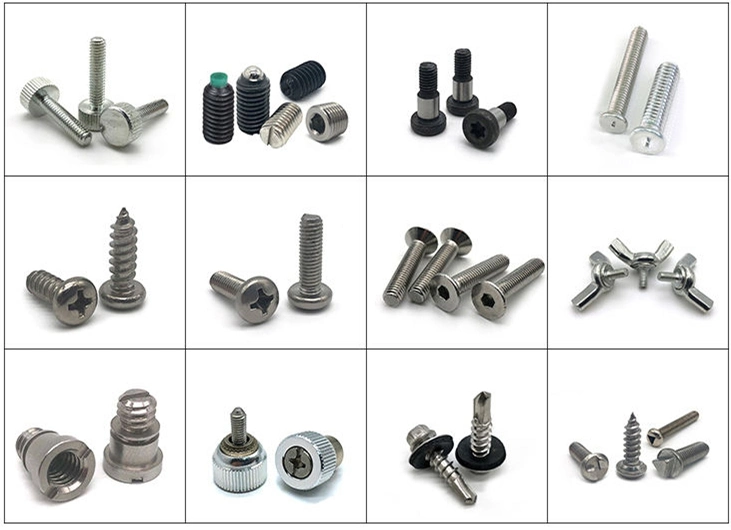 White Zinc Plated Self Drilling Screw High Quality Selt Tapping Screw Fastener Manufacturer Supply Bolt and Screw